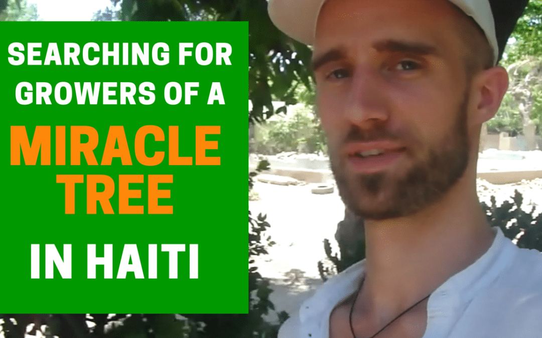 VLOG #2: Searching For Growers of a Miracle Tree in Haiti