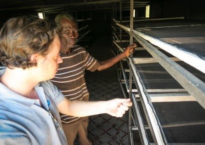 Moringa Leaf powder processing smalholder farmers women cooperative afasdah the growing dutchman sustainable agriculture reforestation Haiti