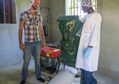 Moringa Leaf powder processing smalholder farmers women cooperative afasdah the growing dutchman sustainable agriculture reforestation Haiti