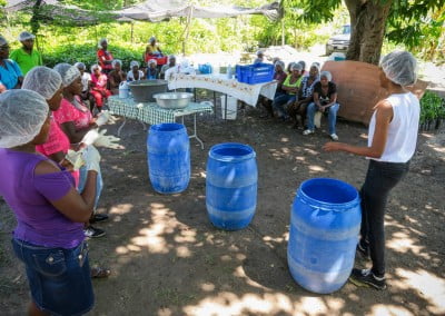Moringa Leaf powder processing smalholder farmers women cooperative afasdah the growing dutchman sustainable agriculture reforestation Haiti